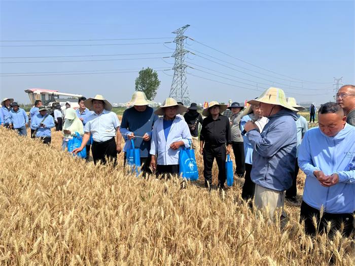 1750302453491606.jpg 22.jpg